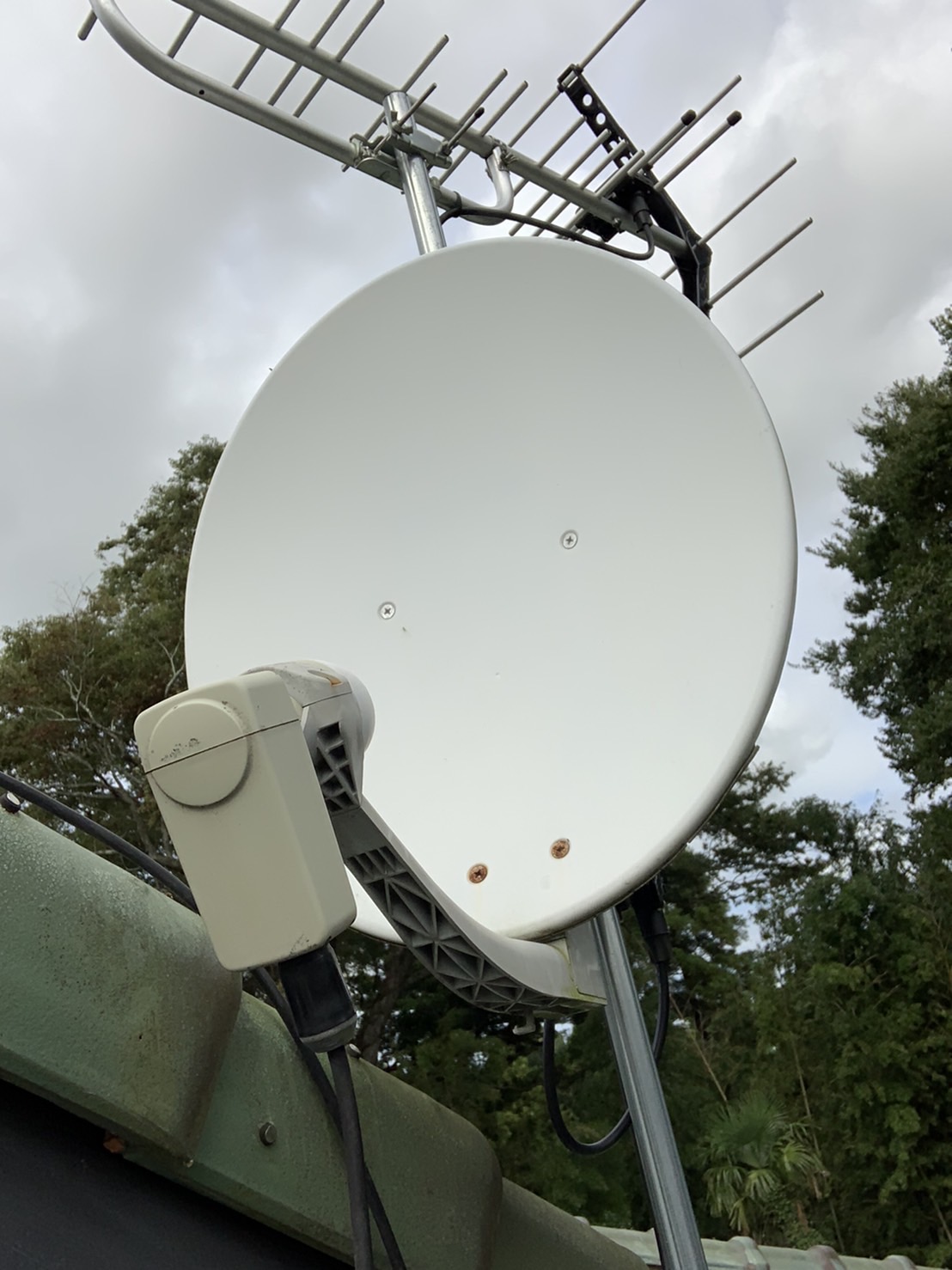 ECCCB266-450E-4981-8BBB-FC12CD08F311