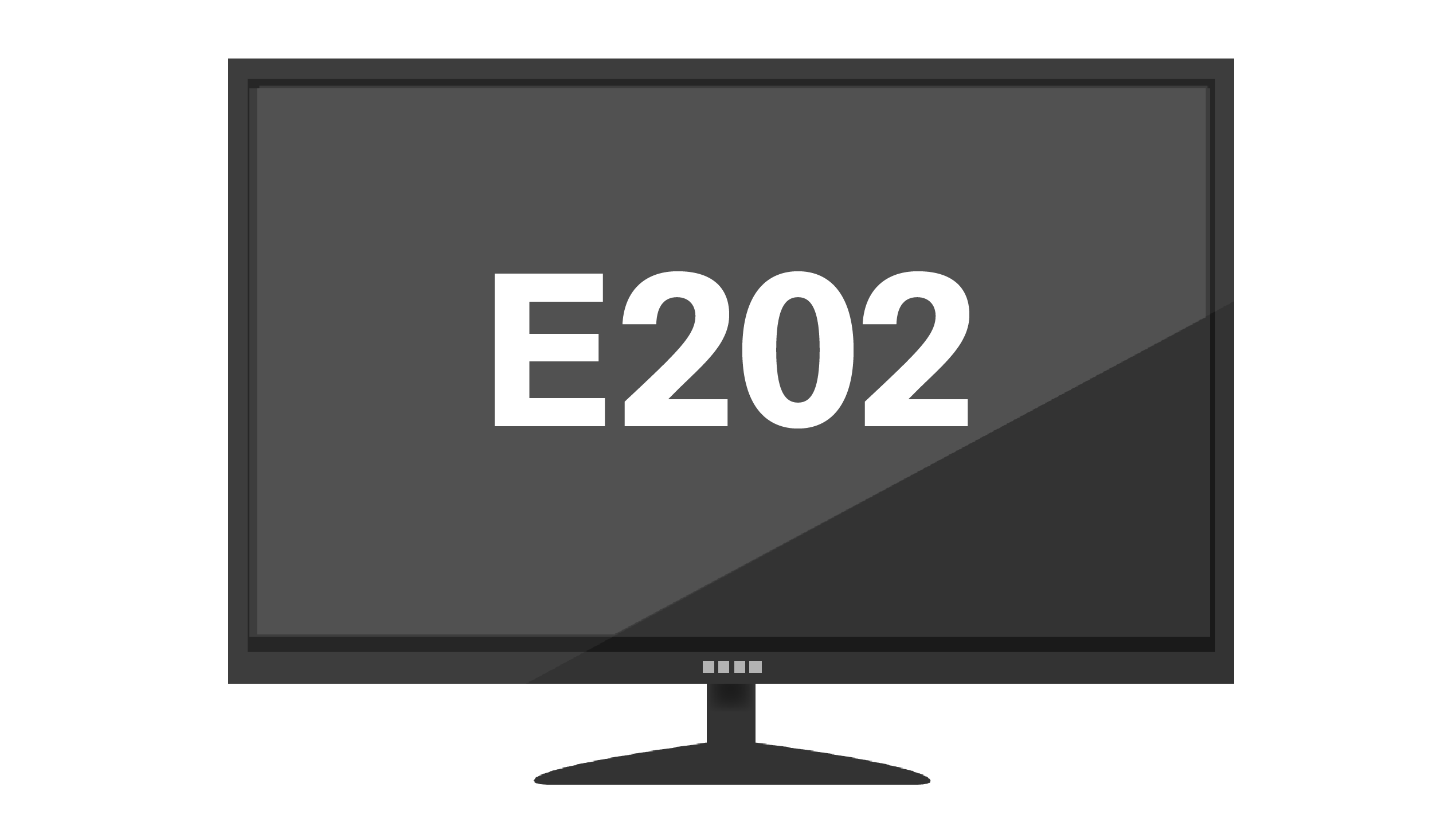 E202エラー